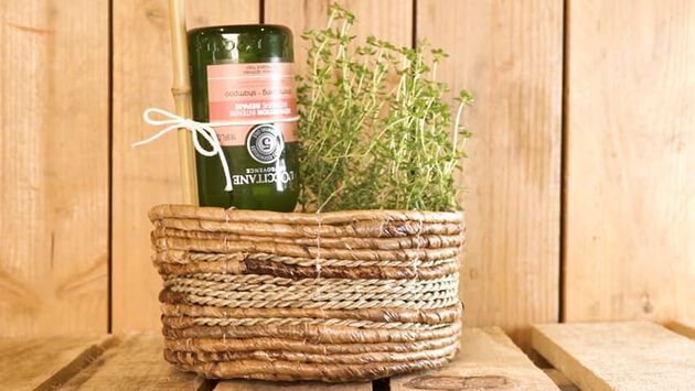 Play WATER YOUR PLANTS WHILE YOU'RE AWAY