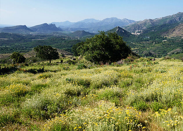 HOW L'OCCITANE WILL MAKE A DIFFERENCE
