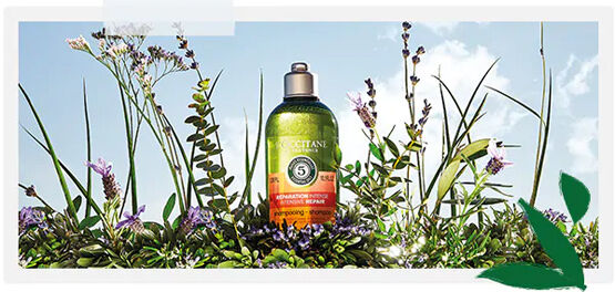 Our Aromachologie Range: 100% recycled packaging for the past 10 years