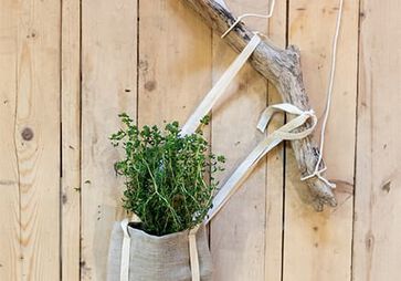 A HANGING HERB POT