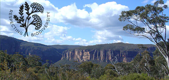 Bushfire Recovery Partnership