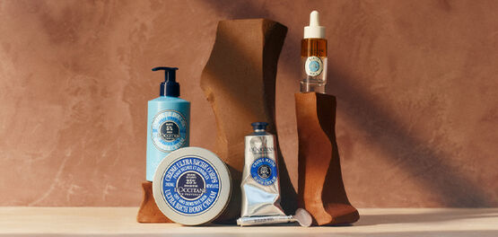 Discover Our Shea Collection 