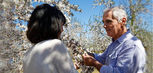 Jean Pierre Jaubert, Our Inspirational Almond Producer, Valensole Plateau Almonds, Family Tradition, Natural, Organic