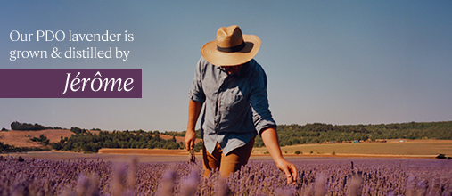 Our Lavender Producers