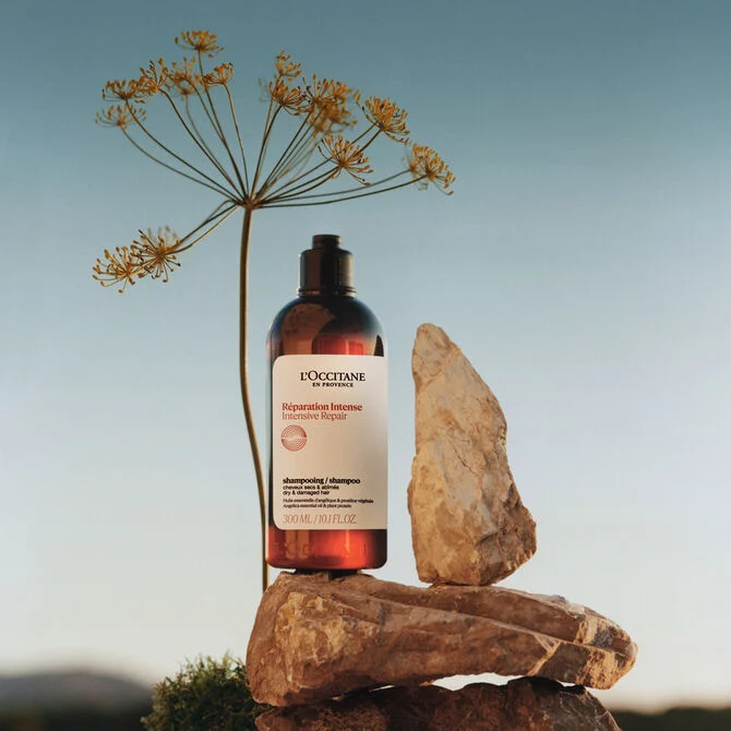 Intense Repair Shampoo