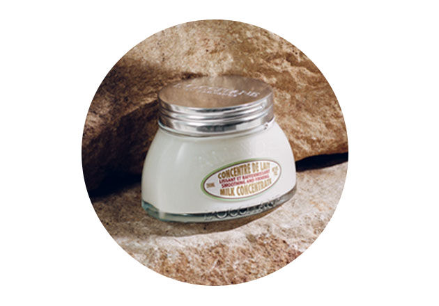 Almond Milk Concentrate 