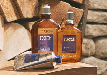 L'OCCITAN