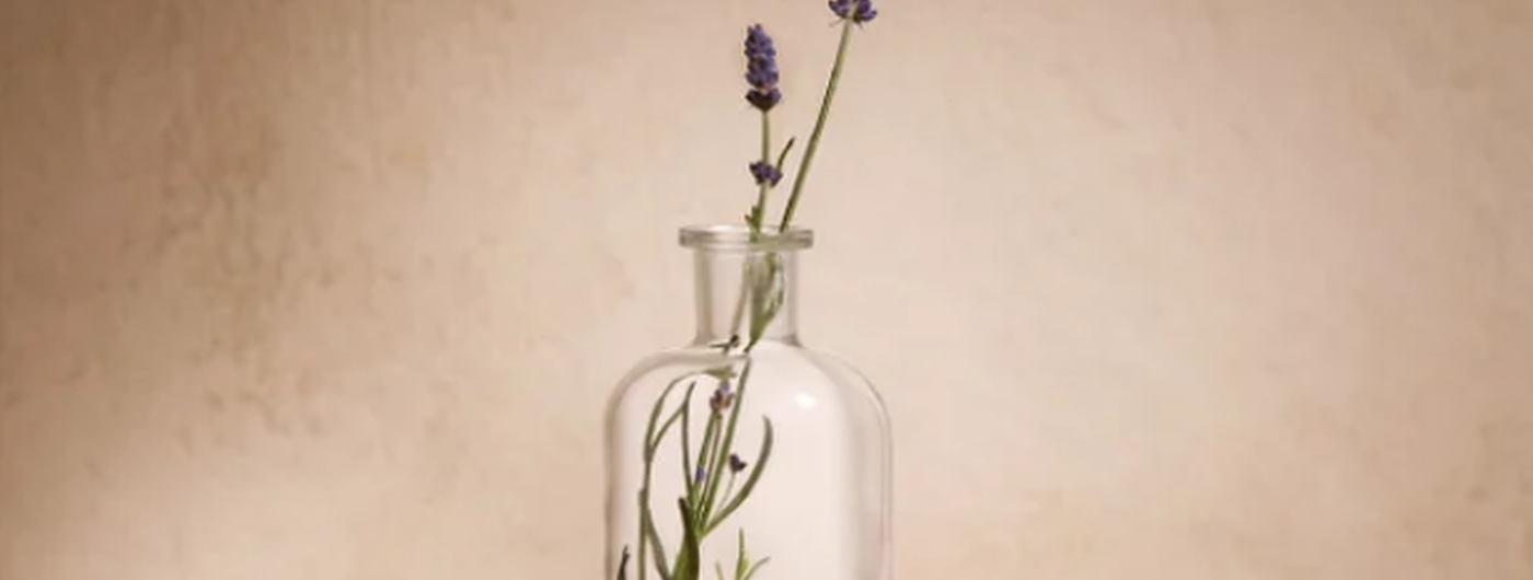 The Benefits of Lavender!