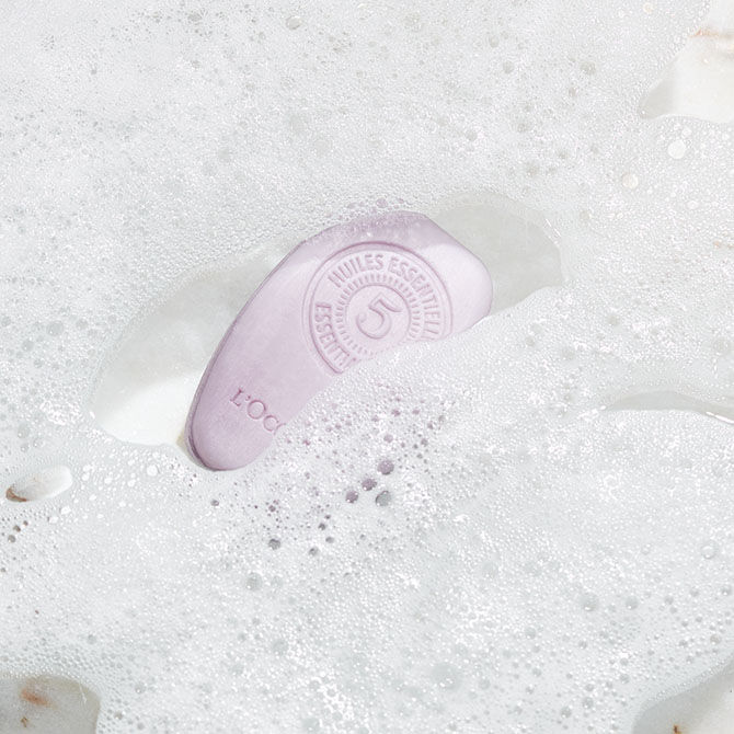 Gentle & Balance Solid Shampoo Bar 