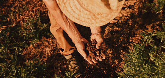 How Your Environment Impacts Your Skin's Natural Glow