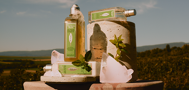Mint Verbena Collection, Mint Verbena Eau de Toilette, Mint Verbena Travel Roll-On Perfume, Mint Verbena Shower Gel, Mint Verbena Exfoliating Shower Gel, Mint Verbena Body Ice Gel, Mint Verbena Hand Cream Gel, Fresh, Invigorating 