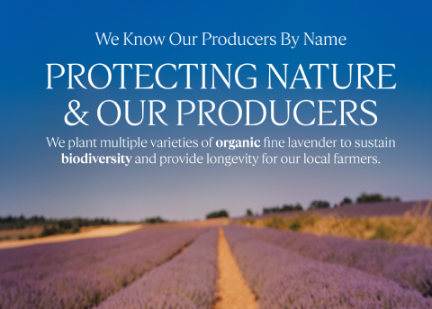 Organic Lavender From Provence 