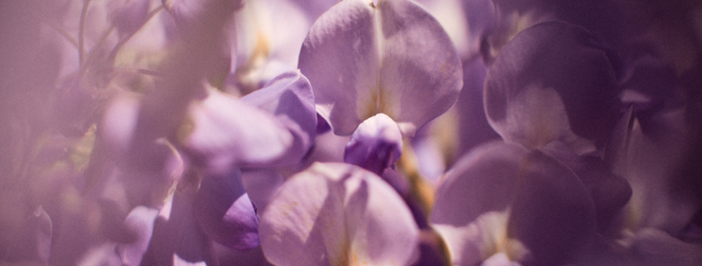 Glycine Ingredients