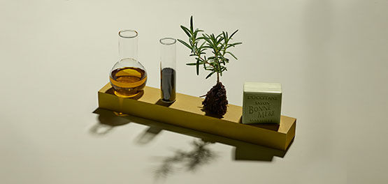 L'OCCITANE Bonne M&egrave;re Rosemary & Clary Sage Soap, Fresh Rosemary from Provence, Vegetable Oil in conical flask, Natural Ingredients 