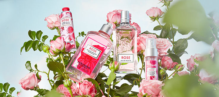 Rose Collection, Floral, Delicate, Pink Roses, Leaves, Rose Eau de Toilette, Rose Shower Gel, Rose Fresh Mist, Rose Hand Cream