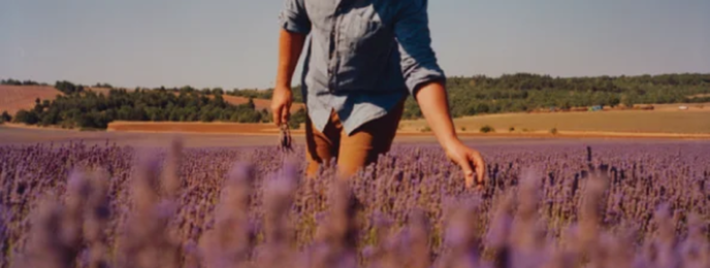 The Benefits of Lavender!