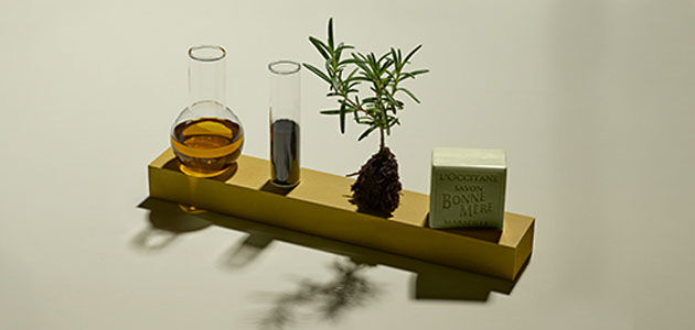 L'OCCITANE Bonne M&egrave;re Rosemary & Clary Sage Soap, Fresh Rosemary from Provence, Vegetable Oil in conical flask, Natural Ingredients 