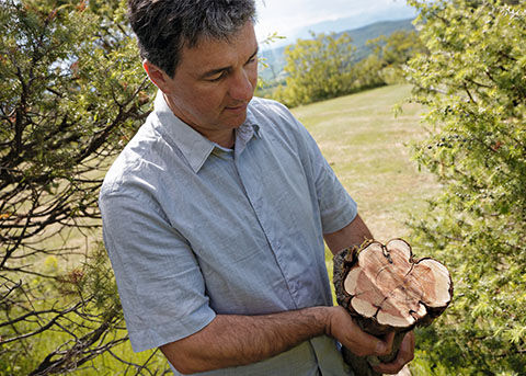 Our Inspirational Producer of Cade Michael Comte, Cade Wood, Ard&egrave;che Regional Natural Park, Respecting Biodiversity, Celebrating Craftsmanship, L'OCCITANE Partnership, Sustainable Sourcing, Our Commitments