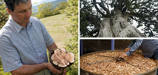 Our Inspirational Producer of Cade Michael Comte, Cade Wood, Ard&egrave;che Regional Natural Park, Respecting Biodiversity, Celebrating Craftsmanship 