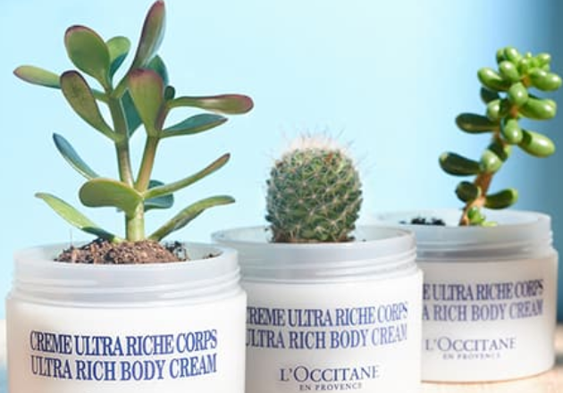Jar Planters