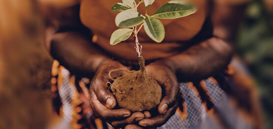 Our Commitment - Respecting Biodiversity