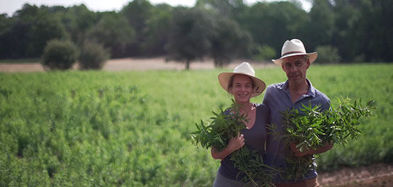 Our Inspirational Producers of Verbena Philippe and Magalie Mary standing in their Verbena Fields, Verbena Leaves, Organic Ingredient, Cultivated in Provence, L'OCCITANE  Partnership, Supporting Producers, Protecting Biodiversity