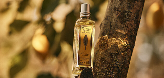 A picture depicting the L'OCCITANE Citrus Verbena Eau de Toilette