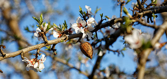 Next Generation, Continuing Tradition, Local Sourcing, Organic, Natural, Sustainable, Protecting Nature, Respecting Biodiversity 