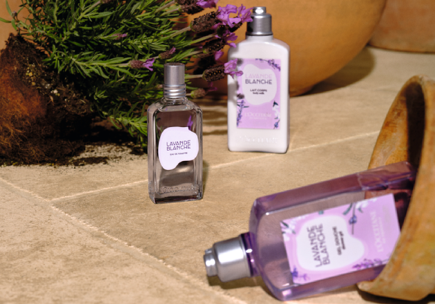 Lavender Collection