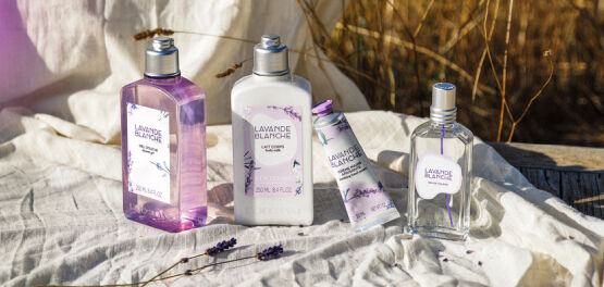 L'Occitane Coffret Lavande Blanche | Livraison à Maurice
