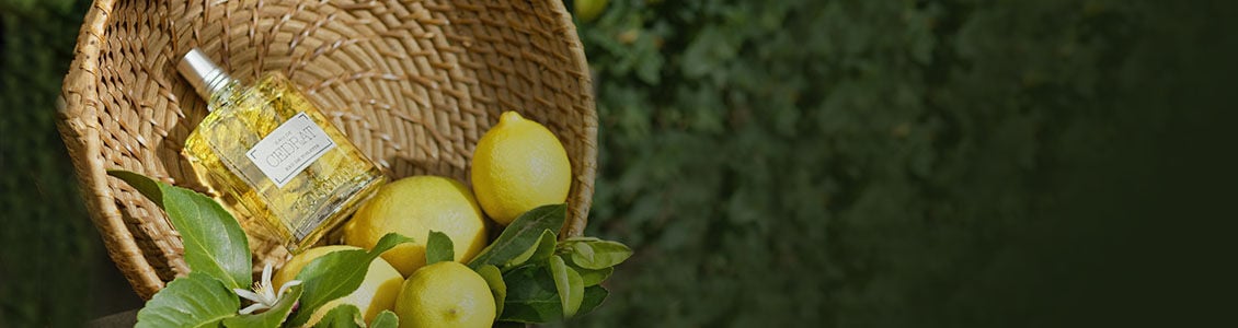 C&eacute;drat, Citron, Giant Citrus Fruit, Fresh Lemons, Eau de Cedrat, Cologne, Nature, Woven Basket, Corsica 