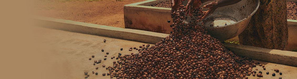 Organic Shea Butter, Ingredient, Raw Shea Nut, Burkina Faso, Fair Trade, Empowering Women, Supporting Producers, Women's Gold, Production Process, Traditional, Handmade, Celebrating Craftsmanship, All Skin Types, All Ages, Nourishing, Comforting