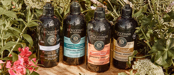 Discover Our 5 Essential Oils Collection