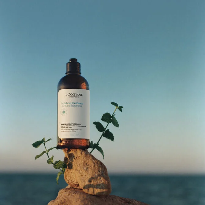 Purifying Freshness Shampoo