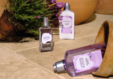 Lavender Collection