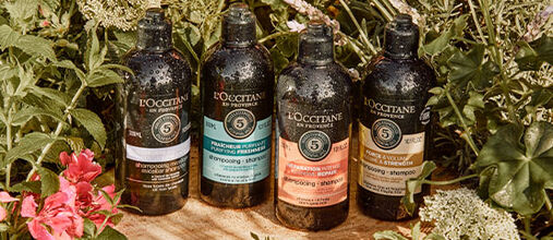 Discover Our 5 Essential Oils Collection