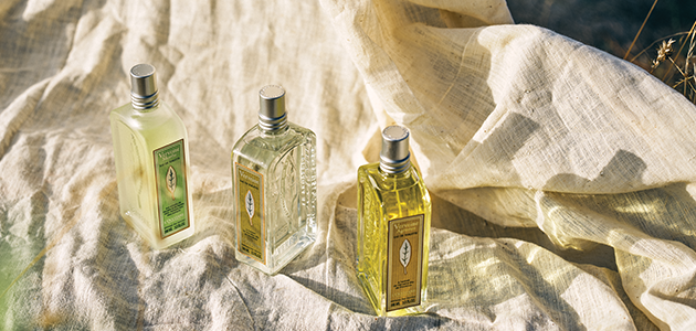Discover The Verbena Collection 
