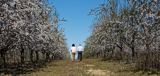 Jean Pierre Jaubert, Olivier Baussan, L'OCCITANE, Partnership, Expanding, Planting Trees, Giving Back 