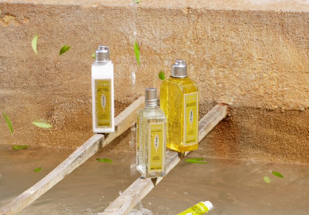Verbena Collection