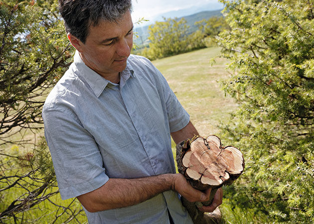 Our Inspirational Producer of Cade Michael Comte, Cade Wood, Ard&egrave;che Regional Natural Park, Respecting Biodiversity, Celebrating Craftsmanship, L'OCCITANE Partnership, Sustainable Sourcing, Our Commitments