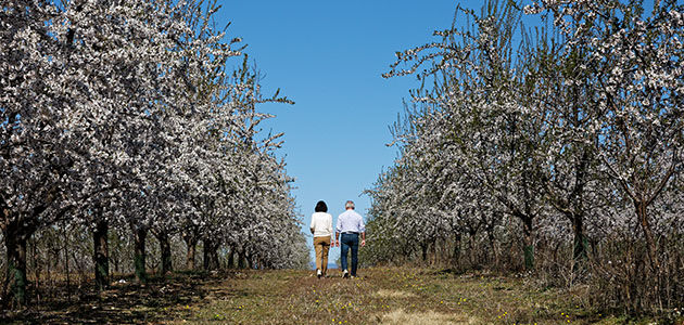 Jean Pierre Jaubert, Olivier Baussan, L'OCCITANE, Partnership, Expanding, Planting Trees, Giving Back 