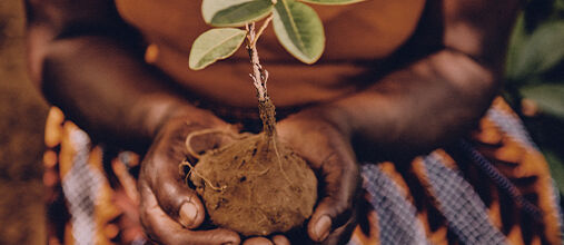 Respecting Biodiversity