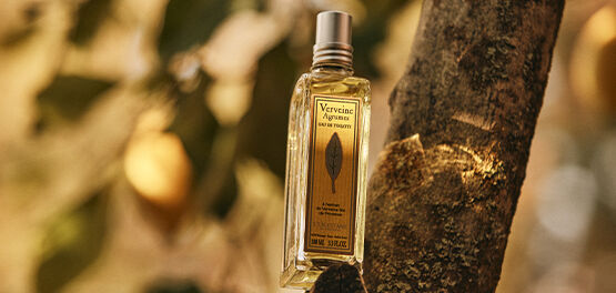 A picture depicting the L'OCCITANE Citrus Verbena Eau de Toilette