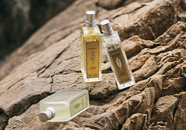 Image showing L'OCCITANE Verbena Classic Eau de Toilette, L'OCCITANE Verbena Citrus Eau de Toilette and L'OCCITANE Verbena mint Eau de toilette