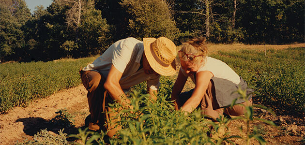 Our Inspirational Producer Magalie Mary harvesting L'OCCITANE Verbena 