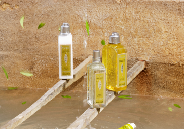 Verbena Collection