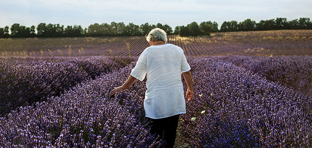 How Does L'OCCITANE Contribute to Protect Lavender?