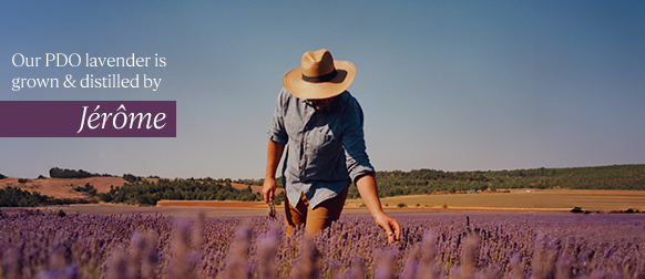 Our Lavender Producers