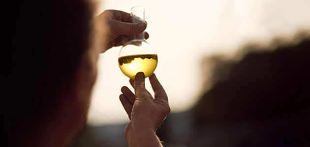 100% Organic Immortelle Essential Oil and dried Immortelle flowers being held up in round conical flask towards sun in Corsica by our Inspirational Immortelle Producers, Natural, Organic, Anti-ageing, Patented, Traceable, Made in Corsica 