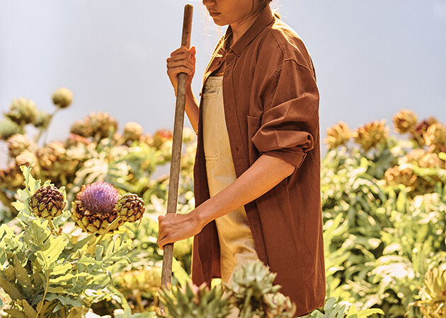 Where do our Artichokes come from? 